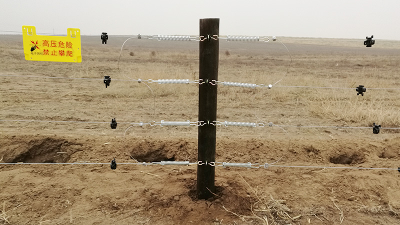 畜牧電子圍欄，阿旗天山工程只推薦小牛看家